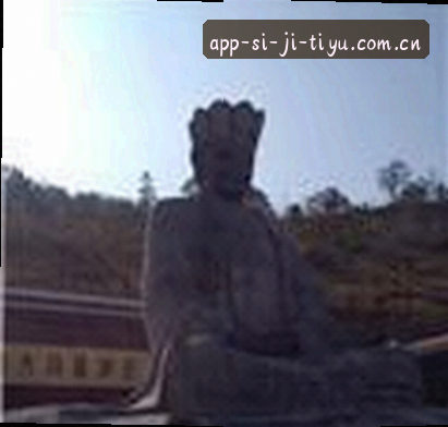 赵强